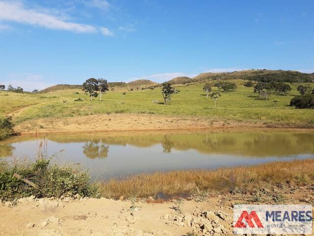 #895 - Fazenda para Venda em Carmo do Rio Claro - MG - 2