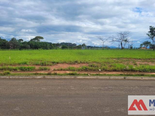 #278 - Terreno para Venda em Passos - MG - 1