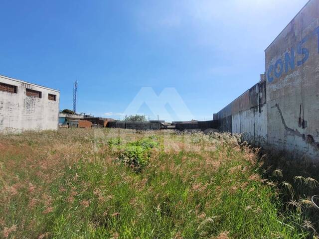 Terreno para Locação em Passos - 5