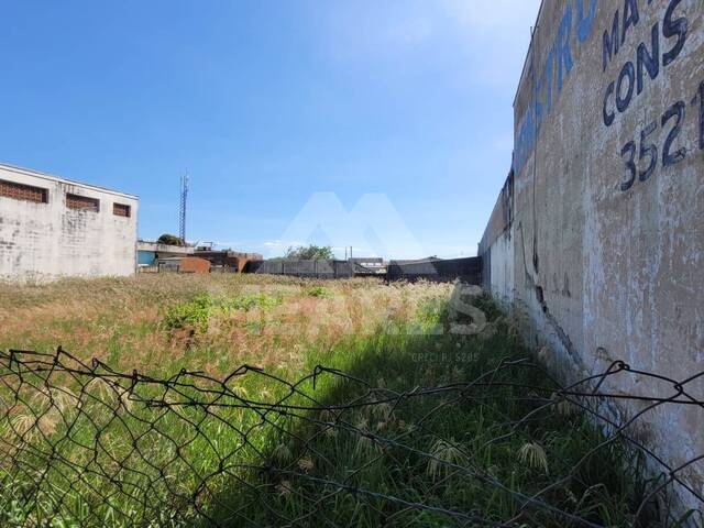 Terreno para Locação em Passos - 4