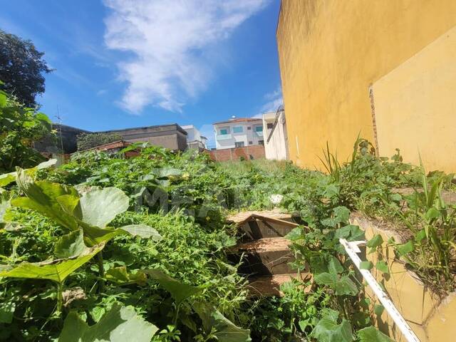 Terreno para Venda em Passos - 3