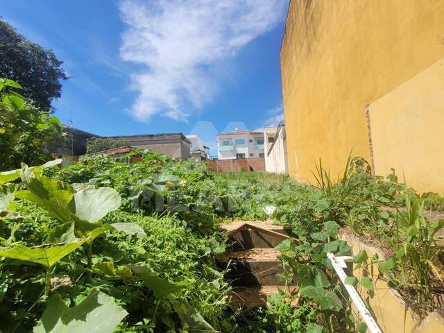 Terreno para Venda em Passos - 2