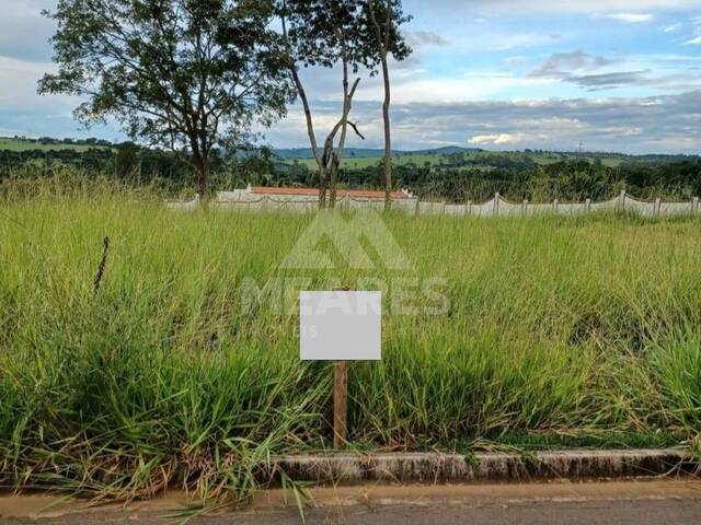 Terreno para Venda em Passos - 2