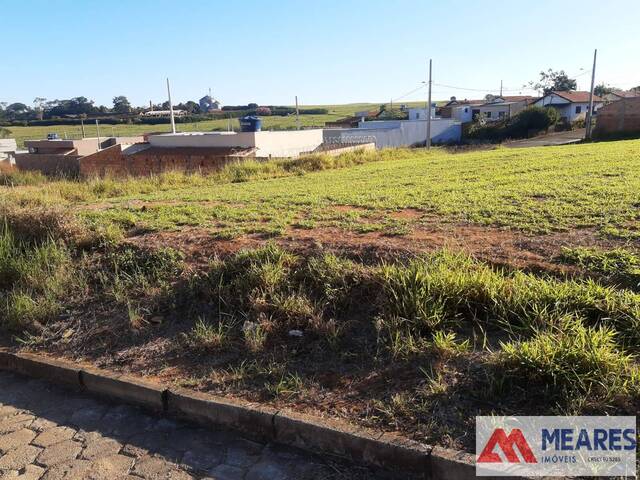 #1220 - Terreno para Venda em São João Batista do Glória - MG - 2