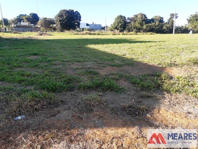 #1221 - Terreno para Venda em São João Batista do Glória - MG - 1