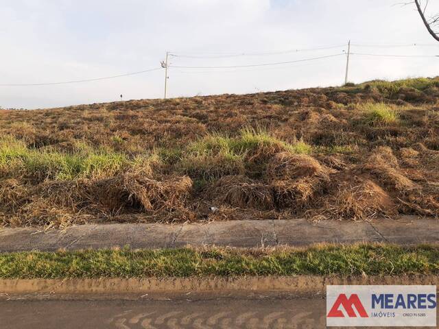 #1252 - Terreno para Venda em Passos - MG - 1