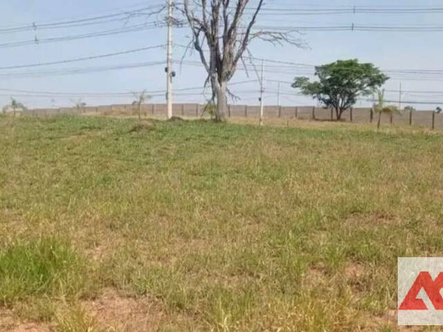 #1381 - Terreno para Venda em Passos - MG - 1