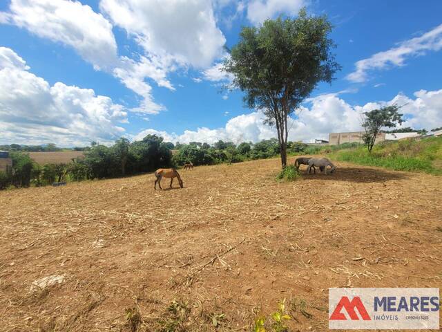 #1427 - Terreno para Venda em Passos - MG