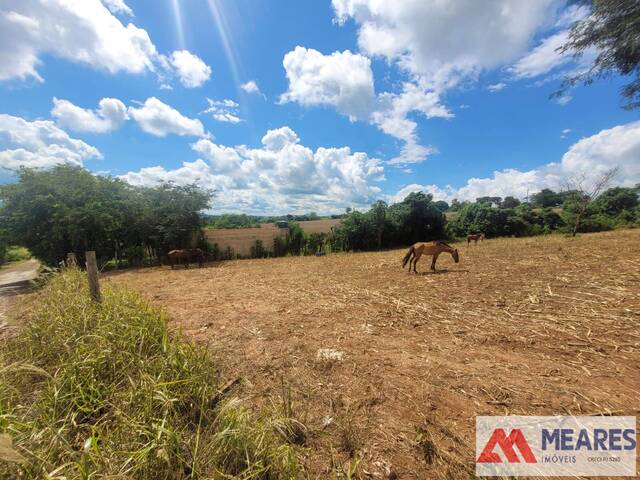 #1427 - Terreno para Venda em Passos - MG