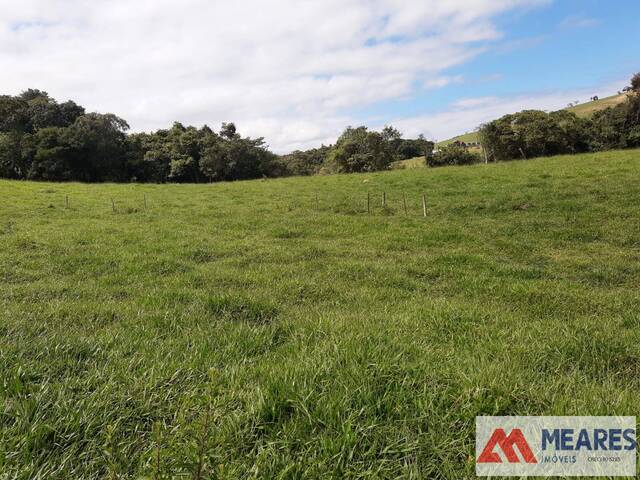#1538 - Fazenda para Venda em Capitólio - MG - 2