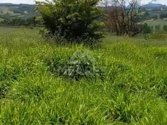 Sítio para Venda em Passos - 4