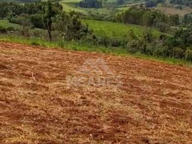 Sítio para Venda em Passos - 5