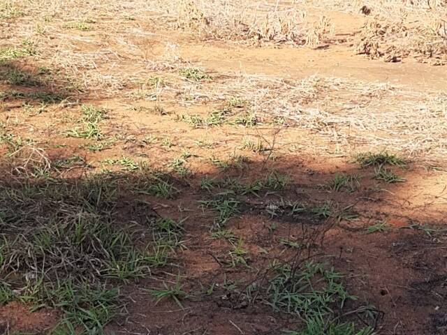 #1593 - Terreno para Venda em Passos - MG - 2