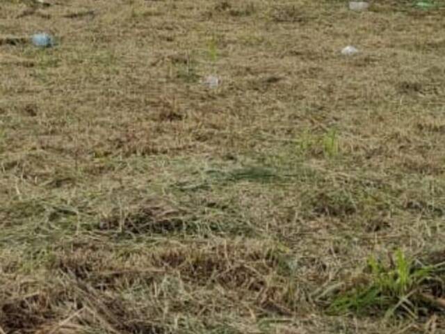 #1634 - Terreno para Venda em Passos - MG - 1