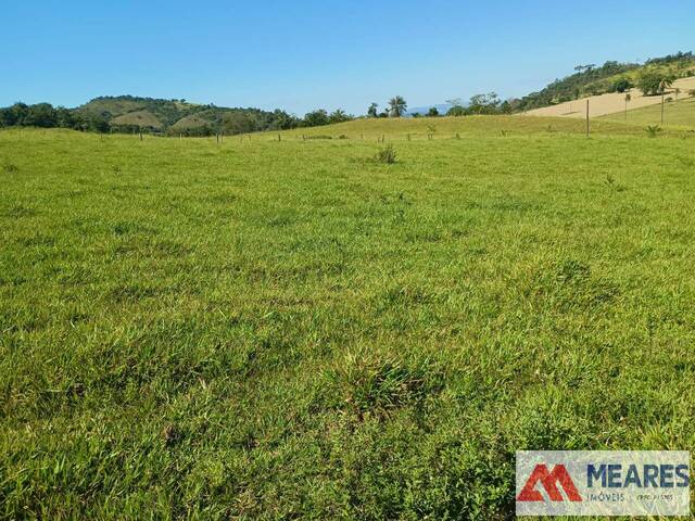 #1726 - Fazenda para Venda em Passos - MG - 1