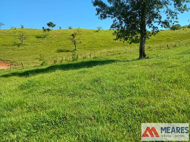 #1726 - Fazenda para Venda em Passos - MG - 2