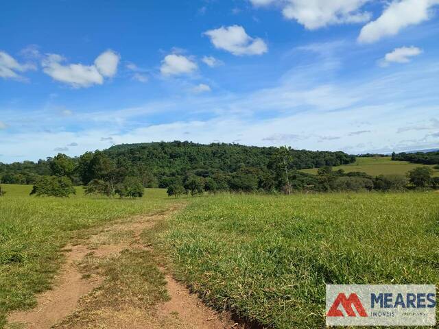 #1729 - Fazenda para Venda em Passos - MG - 1