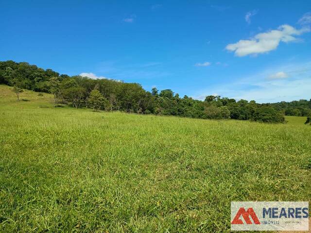#1729 - Fazenda para Venda em Passos - MG - 2