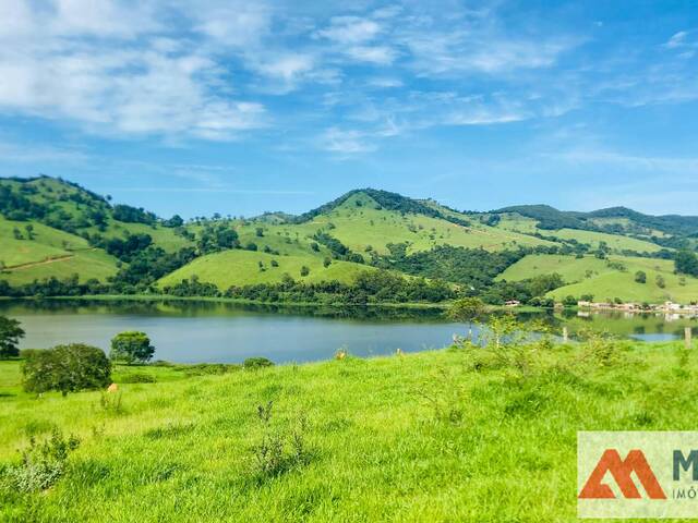#1735 - Fazenda para Venda em Capitólio - MG - 3