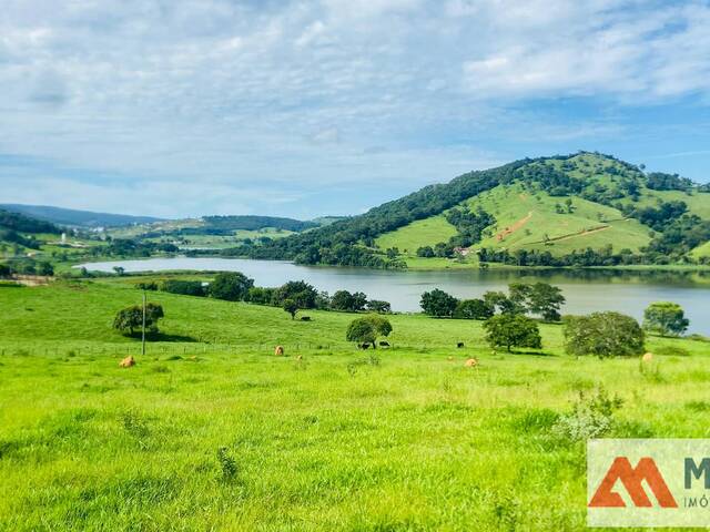 #1735 - Fazenda para Venda em Capitólio - MG - 2