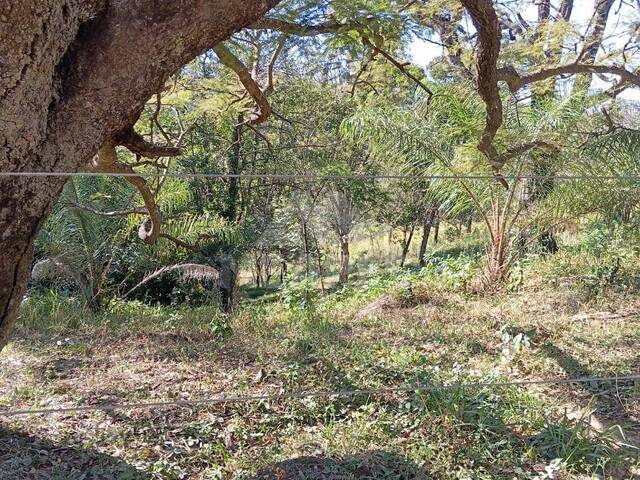 #1970 - Terreno para Venda em São João Batista do Glória - MG - 1