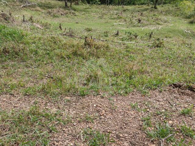 #1970 - Terreno para Venda em São João Batista do Glória - MG - 3
