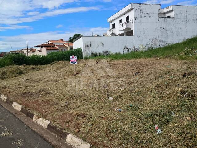 Venda em Muarama - Passos