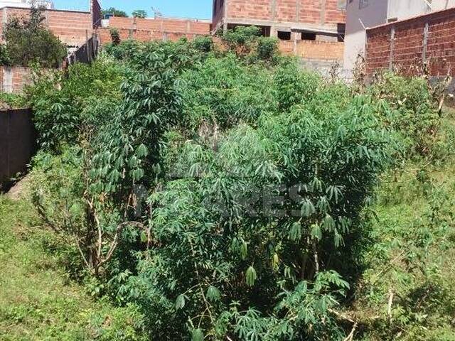 Terreno para Venda em Passos - 2