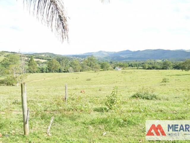 #99 - Fazenda para Venda em São João Batista do Glória - MG - 3