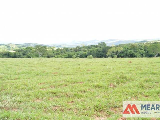 #99 - Fazenda para Venda em São João Batista do Glória - MG - 1